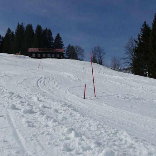 Race and Fun Day 25