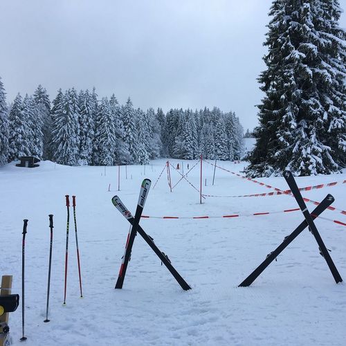 Stadt- und Vereinsmeisterschaften 2017